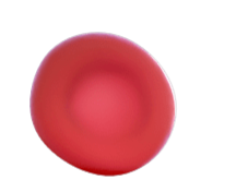 Red blood cell